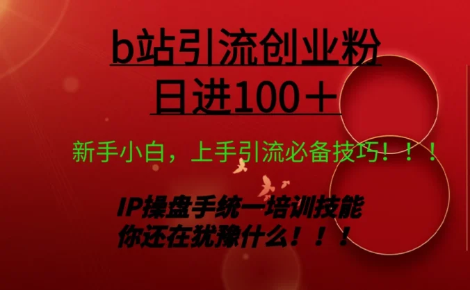 日引创业粉 100+ b 站全套打法【实操教学】不容错过
