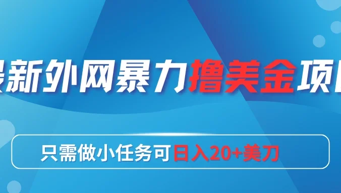 最新外网暴力撸美金项目，只需做小任务可日入20+美刀