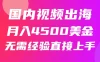 国内爆款视频出海赚美刀，实战月入4500美金，批量无脑搬运，无需经验直接上手
