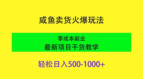 闲鱼卖货火爆玩法,靠售卖电子产品轻松日入1000+,零成本副业项目最新干货教学