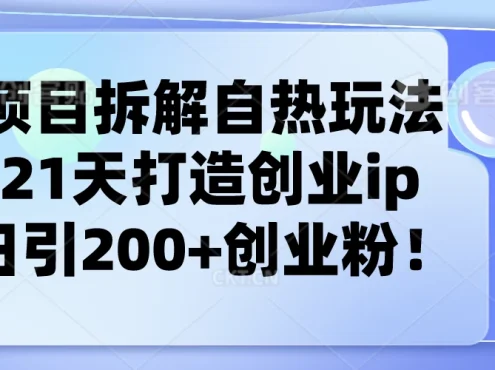 项目拆解自热玩法,21天打造创业IP,日引200+创业粉