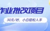 作业批改项目30元/时，小白轻松入手，非常的简单