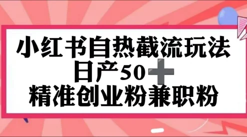 小红书自热截留玩法，日产50+精准创业粉兼职粉，轻松实现流量变现