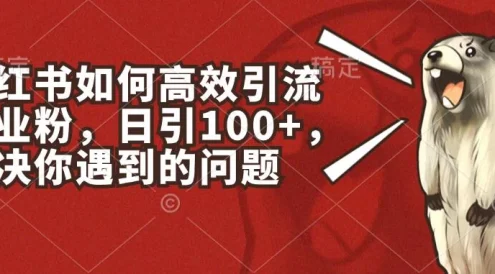 小红书如何高效引流创业粉，日引100+，解决你遇到的问题