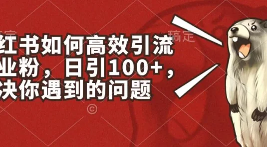 小红书如何高效引流创业粉，日引100+，解决你遇到的问题