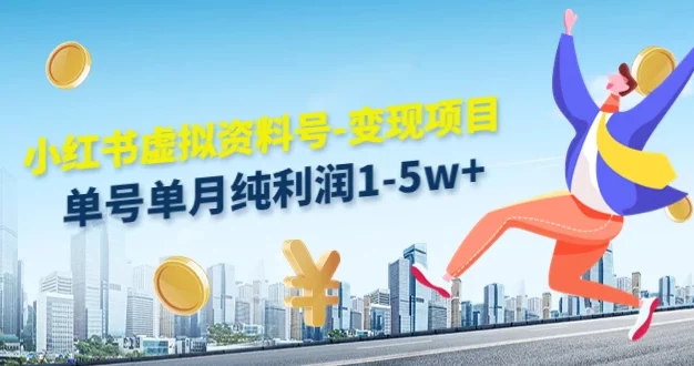 虚拟资料号变现项目，单月单号纯利润1W+，实操玩法分享