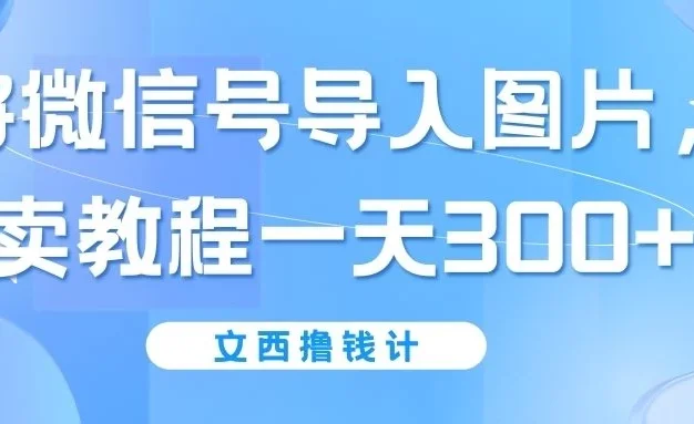 将微信号导入图片，卖教程一天300+（无脑操作！有手就会！）
