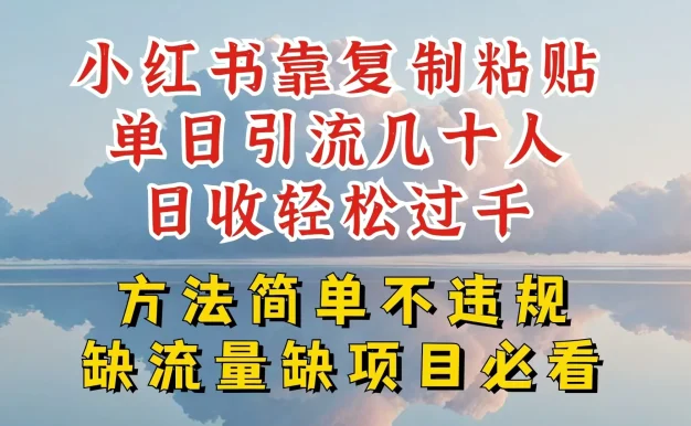 你还在做小红书图文带货和接商单吗,限流就算了,还不赚钱,现在最变态的赚钱方法,还得是暴力引流,私域变现