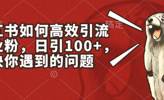 小红书如何高效引流创业粉，日引100+，解决你遇到的问题