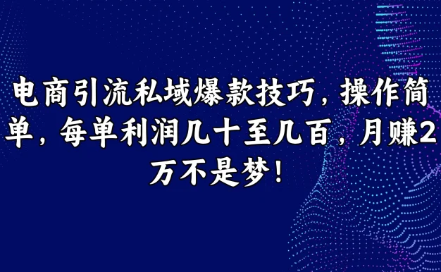 电商引流私域爆款技巧，操作简单，每单利润几十至几百，月赚2万不是梦！
