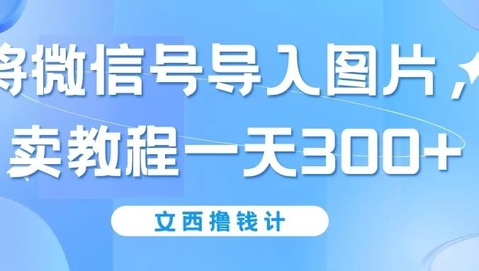 将微信号导入图片，卖教程一天300+（无脑操作！有手就会！）