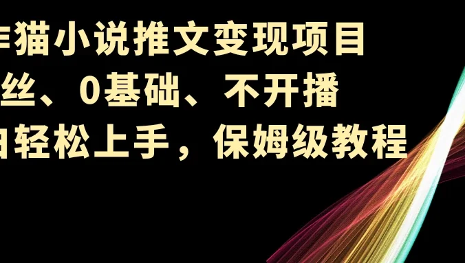 小说推文变现项目，0粉丝、0基础、不开播、小白轻松上手，保姆级教程