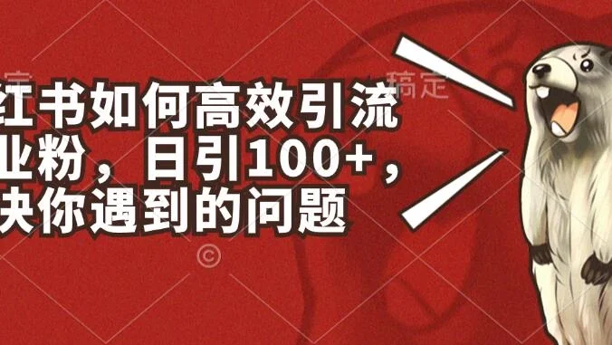 小红书如何高效引流创业粉,日引100+,解决你遇到的问题