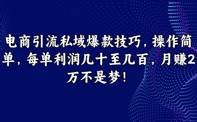 电商引流私域爆款技巧,操作简单,每单利润几十至几百,月赚2万不是梦!