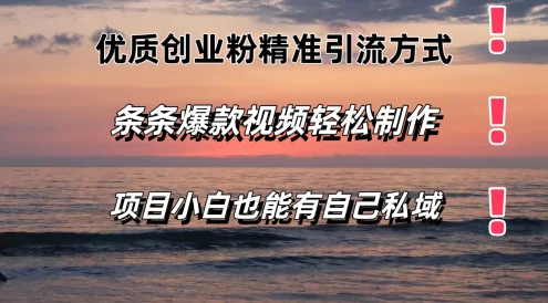 优质创业粉精准引流方式，条条视频爆款，小白也能轻松拥有自己的私域！！！
