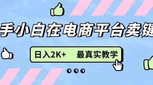 最新无货源0成本电商,新手小白可做,后端扶持拉满,日入2K+细致教学