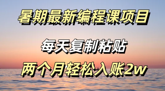暑期最新编程课项目，简单易上手，只需复制粘贴，2w轻松到手
