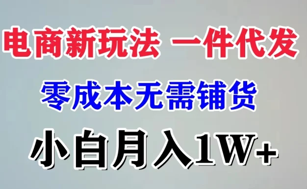 电商新玩法，一件代发，零成本无需铺货，小白月入1W+