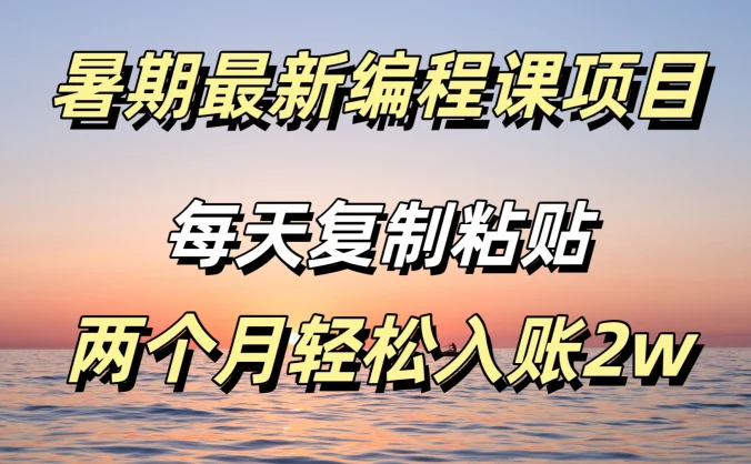 暑期最新编程课项目，简单易上手，只需复制粘贴，2w轻松到手