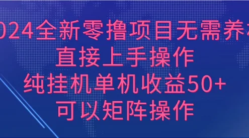 2024全新零撸项目,无需养机,直接上手操作纯挂机单机收益50+,可以矩阵操作