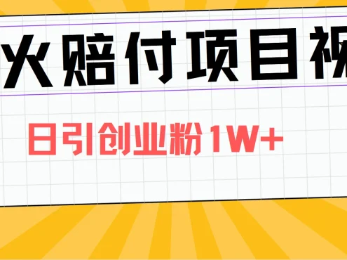 爆火赔付项目视频,全网平台进行引流,日引创业粉1W+