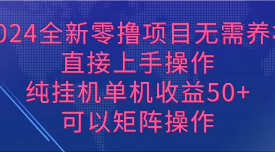 2024全新零撸项目,无需养机,直接上手操作纯挂机单机收益50+,可以矩阵操作