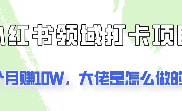 通过小红书领域打卡项目2个月赚10W,大佬是怎么做的?
