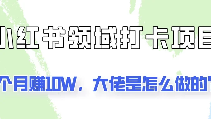 通过小红书领域打卡项目2个月赚10W,大佬是怎么做的?