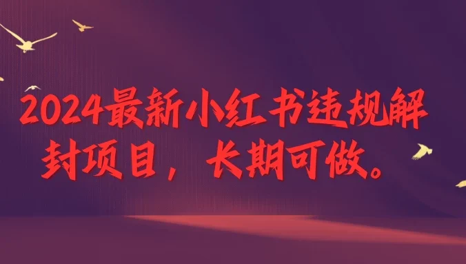 2024最新小红书违规解封项目，一个可以做到退休的项目