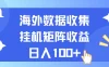 海外挂机项目 数据收集 可矩阵 日收入100+