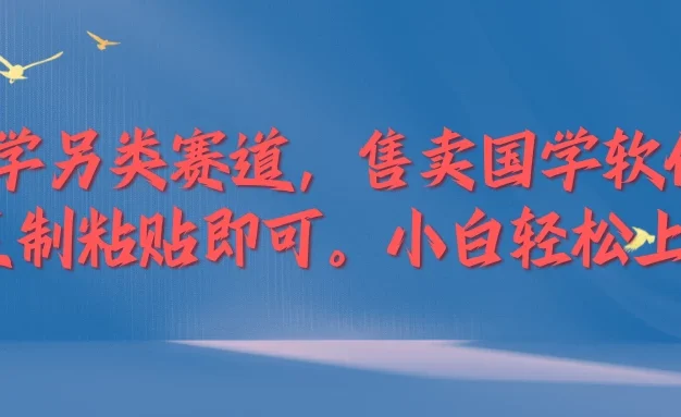 国学新赛道,售卖国学软件,复制粘贴,小白轻松上手