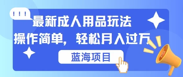 最新成人用品项目玩法,操作简单,蓝海项目轻松月入过万