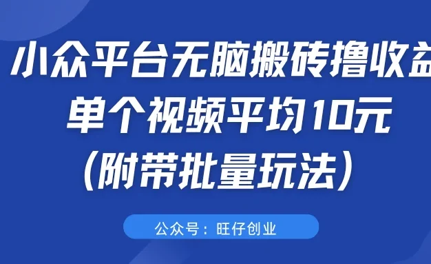 小众平台无脑搬砖撸收益,单个视频平均10元 (附带批量玩法)