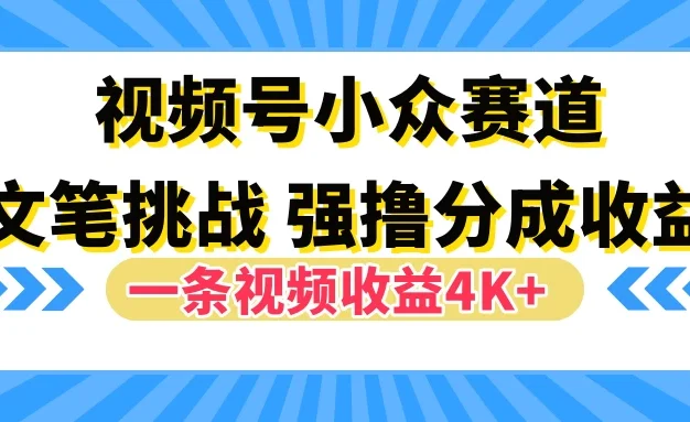 视频号小众赛道,文笔挑战,一条视频收益4K+