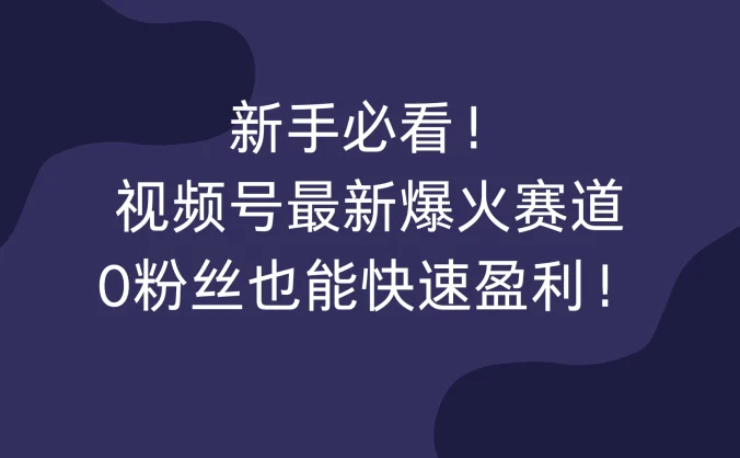 新手必看！视频号最新爆火赛道，0粉丝也能快速盈利！