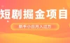 短剧掘金项目，新手小白月入过万，最新操作玩法
