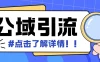 全公域平台，引流创业粉自热模版玩法，号称日引500＋创业粉可矩阵操作