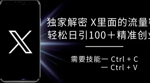 独家解密 X 里面的流量密码，复制粘贴，轻松日引100+