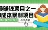 暴利冷门项目，10天赚了2万，年前能翻身的项目