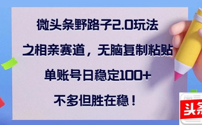 微头条野路子2.0玩法之相亲赛道，无脑复制粘贴，单账号日稳定100+，不多但胜在稳！