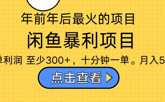 年前年后爆火项目，最佳入手时期，每单收益在300+