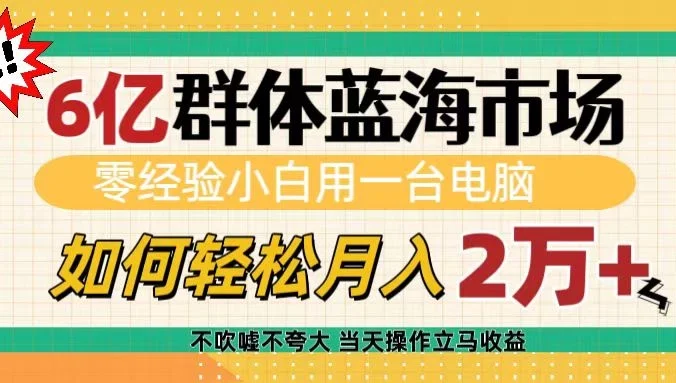6亿群体蓝海市场，零经验小白用一台电脑，如何轻松月入2万+