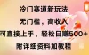 冷门赛道新玩法，无门槛，高收入，可直接上手，轻松日赚500+，附详细资料加教程