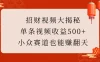 招财视频大揭秘：单条视频收益500+，小众赛道也能赚翻天！