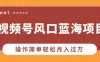 视频号风口蓝海项目，中老年人的流量密码，操作简单轻松月入过万