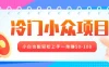 冷门小众项目，营业执照年审，小白也能轻松上手一单赚50-100