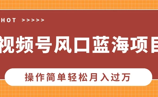 视频号风口蓝海项目,中老年人的流量密码,操作简单轻松月入过万