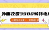 外面收费3980的转转电商玩法，上架当天出单，一单利润300