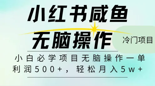2025年爆款项目,抓住机会做第一批吃螃蟹的人!月入5w+