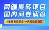 网赚搬砖项目，国内问卷调查，0基础看完就会，一天轻松三四百，靠谱副业干就完了